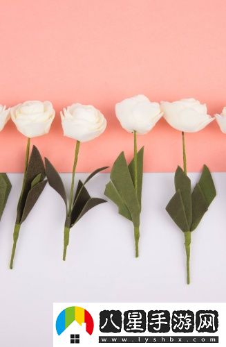 亞洲帝國2027無限資金版在線觀看最新版